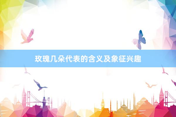 玫瑰几朵代表的含义及象征兴趣