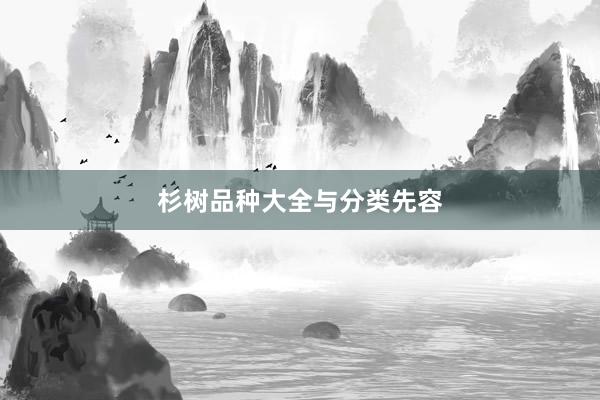 杉树品种大全与分类先容