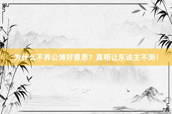 为什么不养公博好意思？真相让东谈主不测！