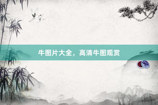 牛图片大全，高清牛图观赏